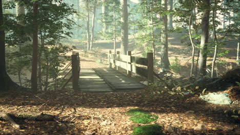 Alte-Holzbrücke-über-Einen-Kleinen-Bach-In-Einem-Park